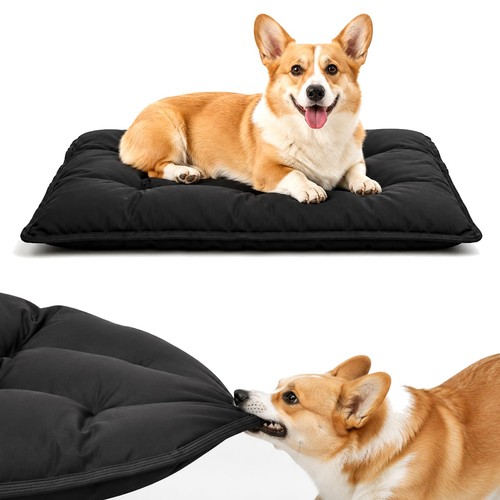 Chew proof indestructible dog - chew,