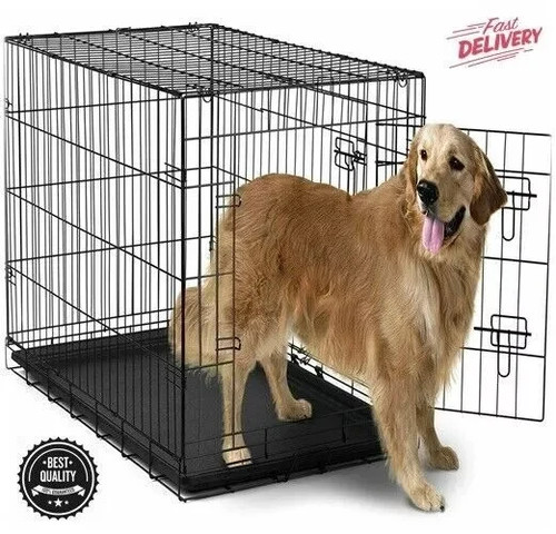 Extra large dog - dog, kennel