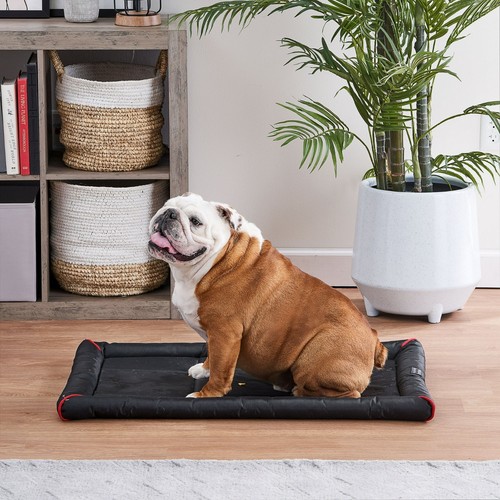 Vibrant life dog - crate, mat