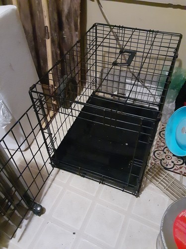 Folding steel small dog - steel,