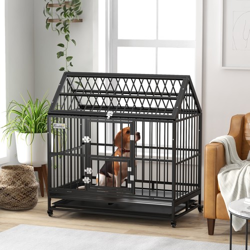 Steel house dog - dog, with