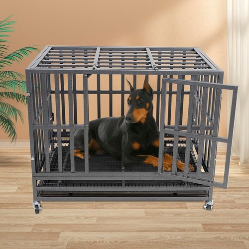 Heavy duty dog - duty,