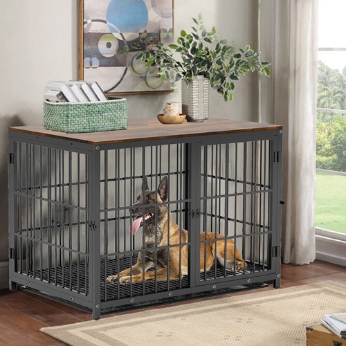 Super large luxury - luxury, dog
