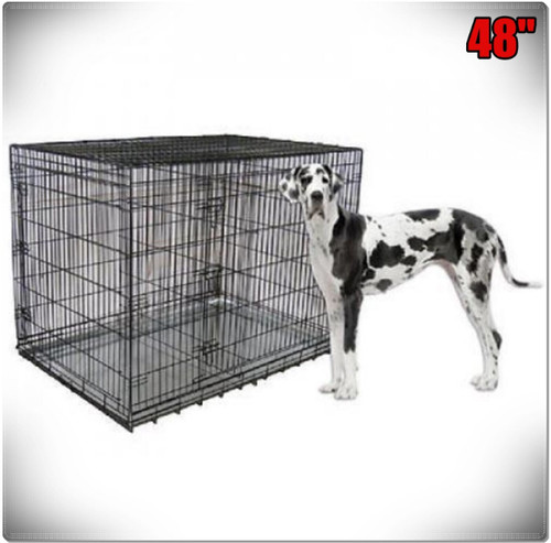 Xxl large dog - large, crate