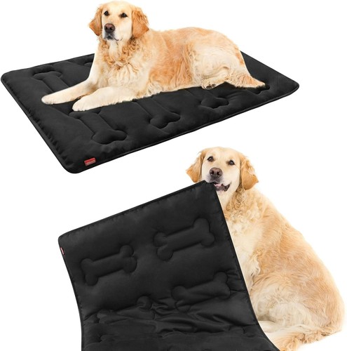 Large chew proof - proof, dog