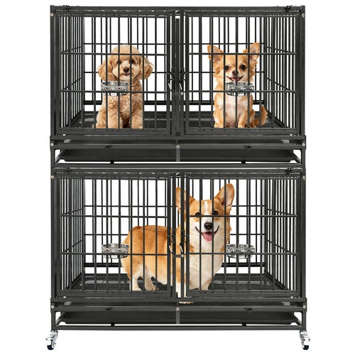 Homey pet two - homey, ties
