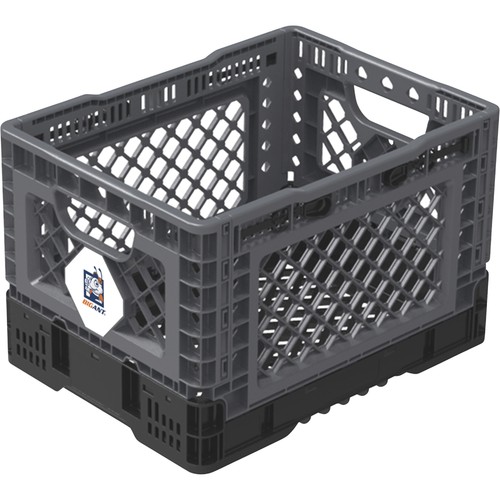 Big ant collapsible - big, smart